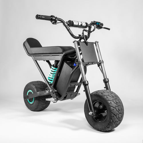 Wheelie Fun Bike V1 | The First Self Wheelie eBike