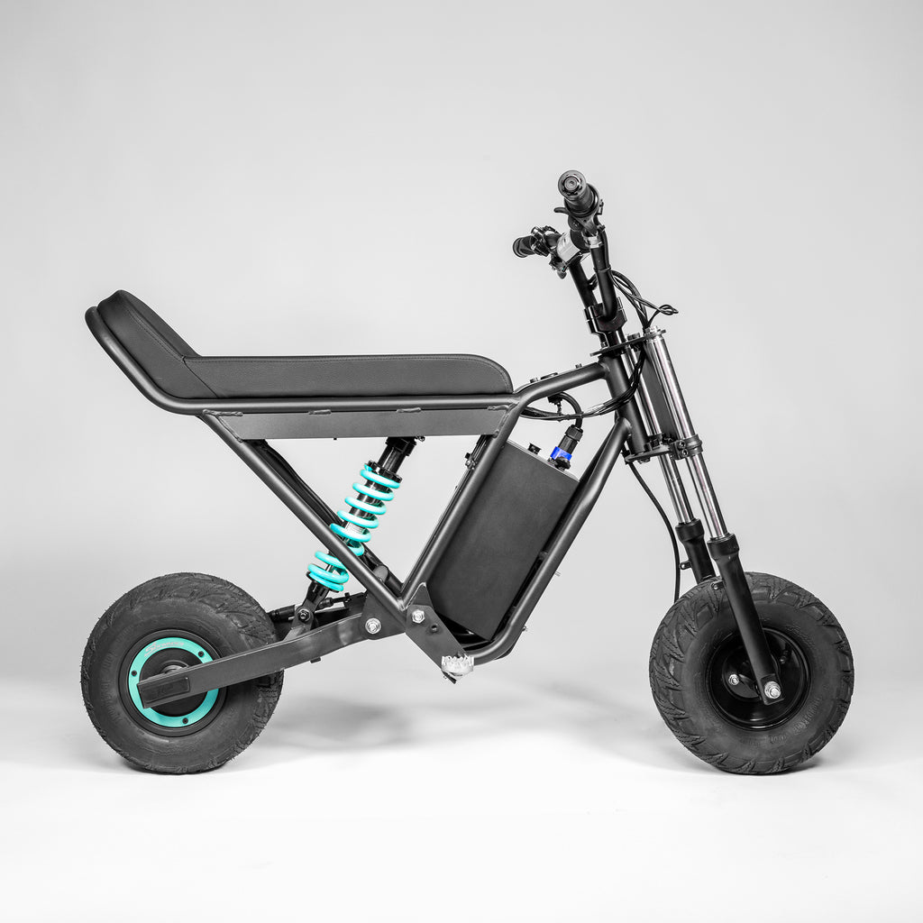 Wheelie Fun Bike V1 | The First Self Wheelie eBike