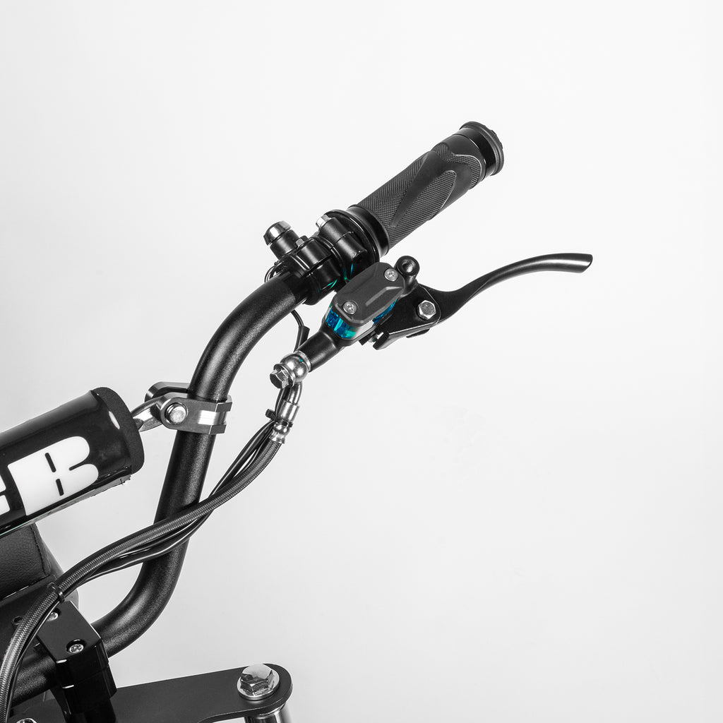 Wheelie Fun Bike V1 | The First Self Wheelie eBike