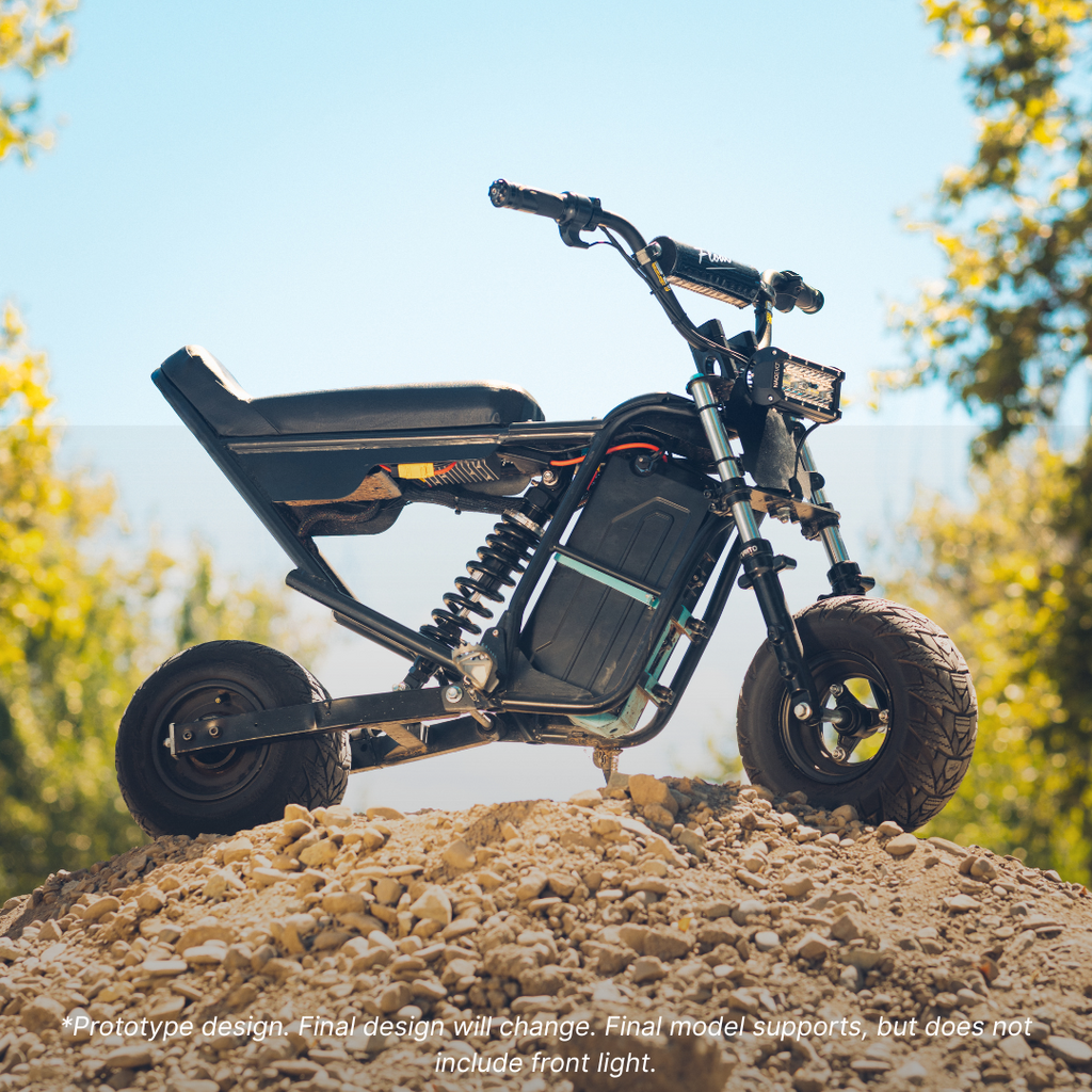 Wheelie Fun Bike V1
